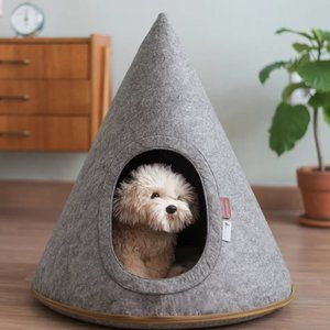 AllModern Felt Pet Tent